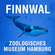 Activities of FinnwalAR