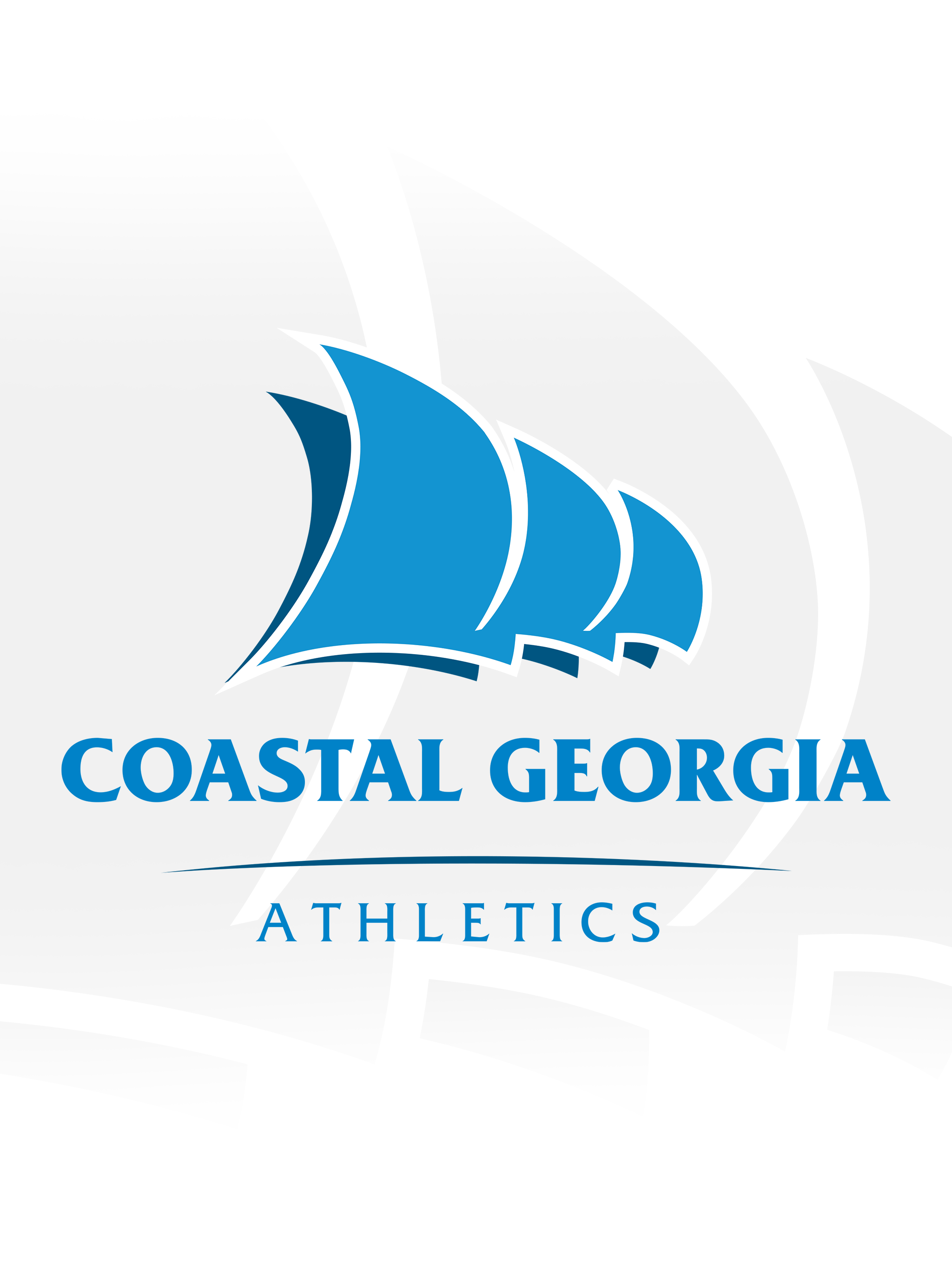 Coastal Georgia Athletics screenshot 6