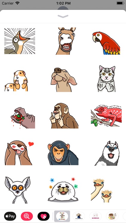 Funny Animals Animated