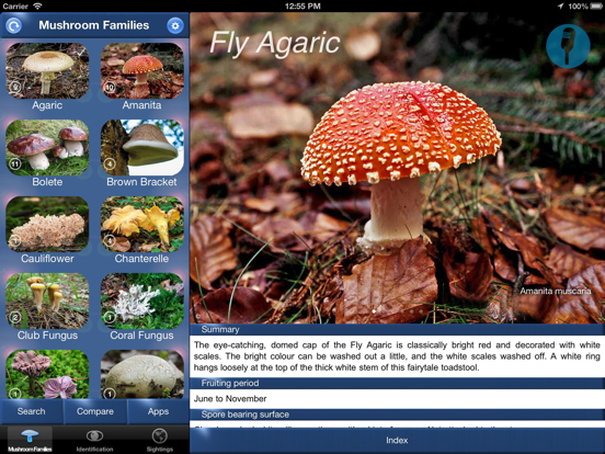 Screenshot #4 pour Mushroom Id Guide - UK