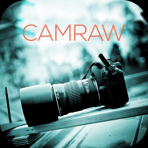 Camraw DSLR Settings Estimator