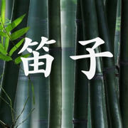 笛子基础入门 - 多维度资料经典基础视频教程