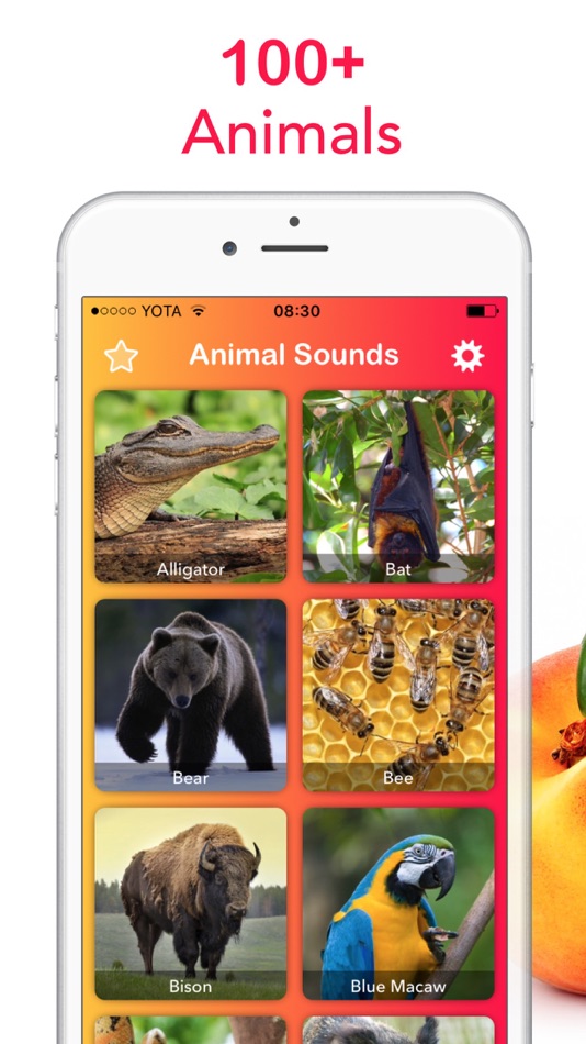 2018 Animal Sounds: Zoo, Growl - 1.1 - (iOS)