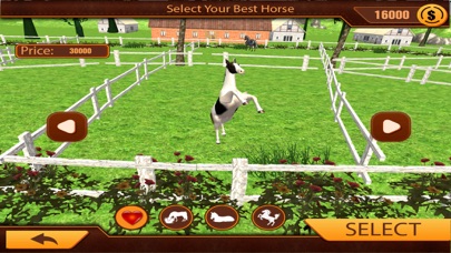 Real Horse Rider Show 18 screenshot 2