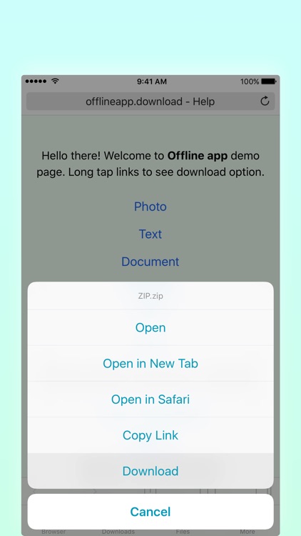 Offline Files & Web Browser