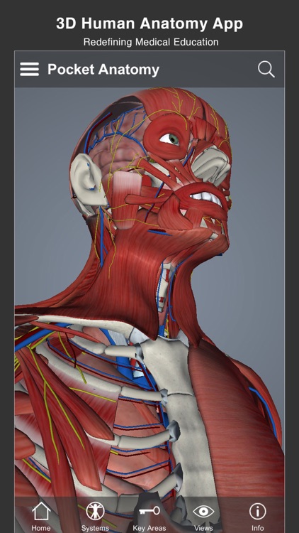 Pocket Anatomy Pro screenshot-0