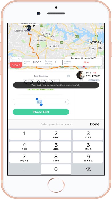 CABIDZ DRIVER Screenshot