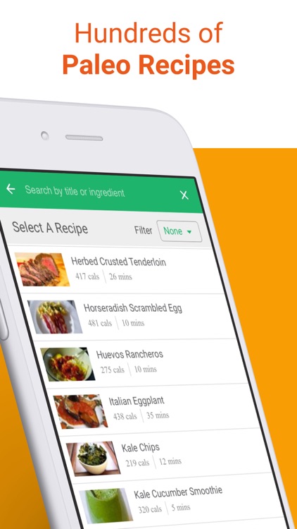 Paleo Diet Meal Plan Recipes