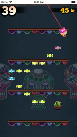 Game screenshot Piñata Panic apk