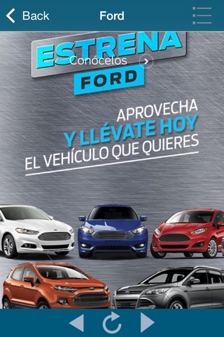 Ford Grupo Sureste screenshot 3