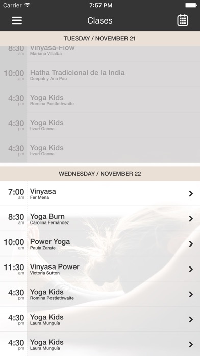 Samadhi Studio screenshot 3