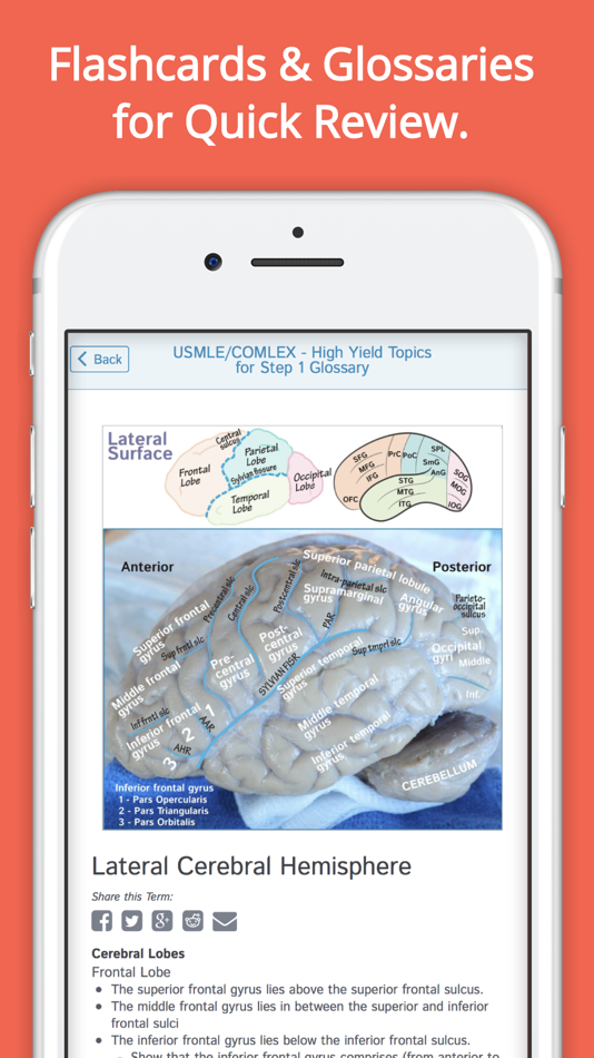 #4. Draw it to Know it (iOS) 由: Draw it to Know it LLC
