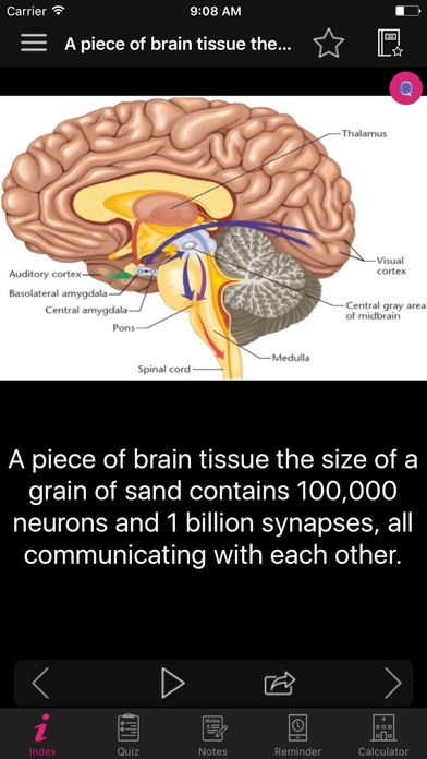 humanbrainfactsquiz2000