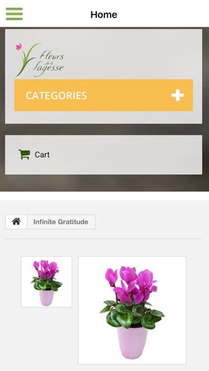 Fleurs De La Sagesse