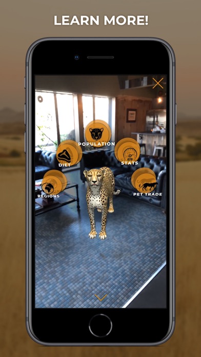 Virtual Cheetah screenshot 2