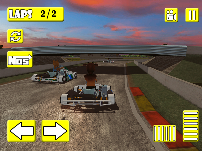 Mad Animal Karting Simulator