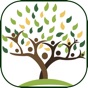 Family Tree Creator app download