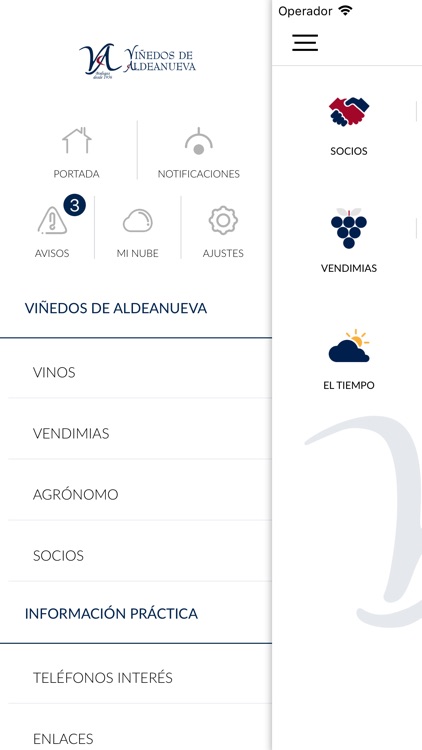 Viñedos de Aldeanueva