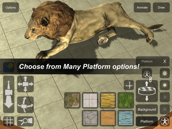 Lion Mannequin iPad screenshot 6 - Education app