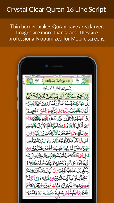 Screenshot #1 pour Quran 16 Line