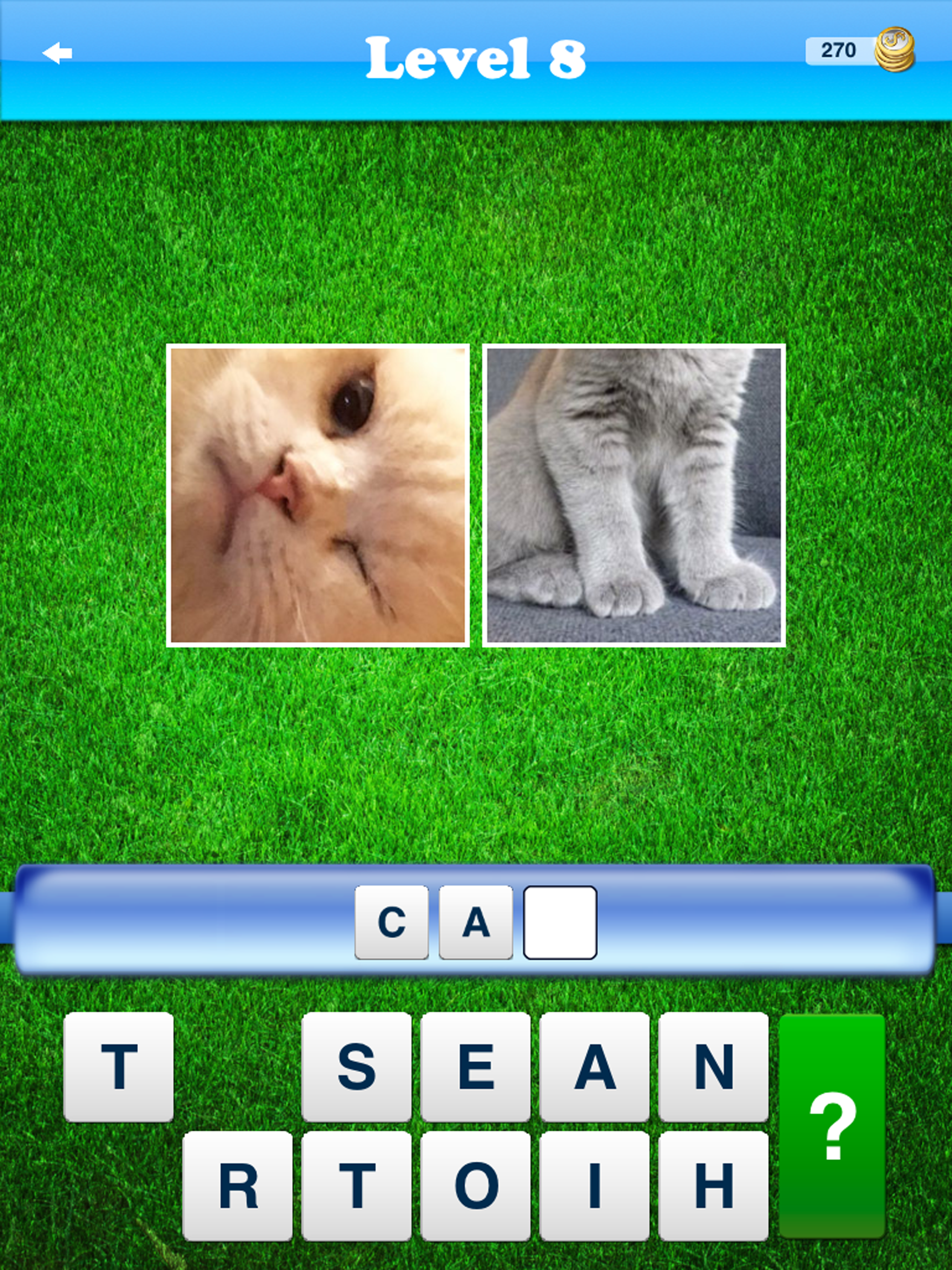 WordTest - ABC Alphabet Words screenshot 8