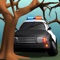 We have added close to 10,000 red light and speed cameras worldwide