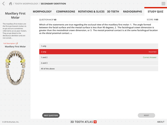 Tooth Atlas 9 iPad screenshot 5 - Education app