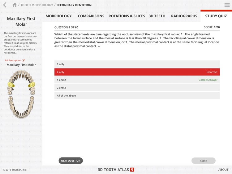 Tooth Atlas 9 screenshot-4