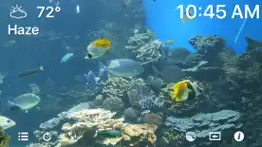 aquarium 4k - ultra hd video iphone screenshot 1
