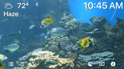 Screenshot #1 pour Aquarium 4K - Ultra HD Video