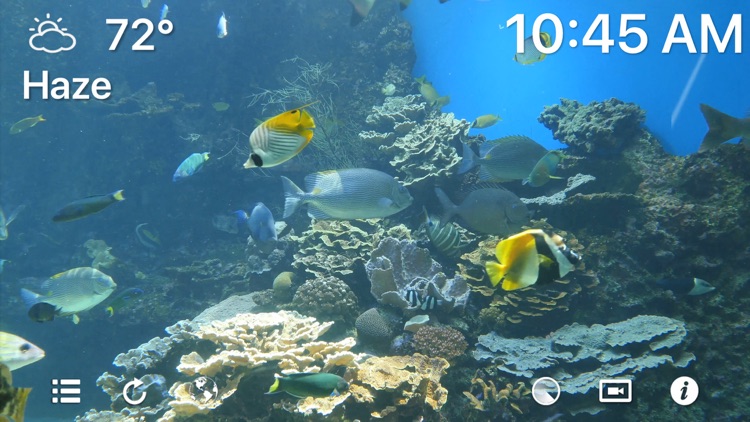 Aquarium 4K - Ultra HD Video screenshot-0