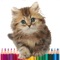 Meow Art Color By Number