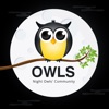 Owls - Night owls community