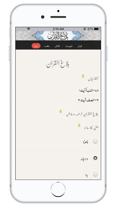 Balagh ul Quran screenshot 4