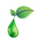 An encyclopedia of information about essential oils, blends and their application for wellness benefits