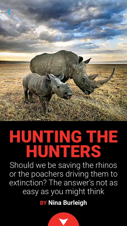 Newsweek screenshot-3