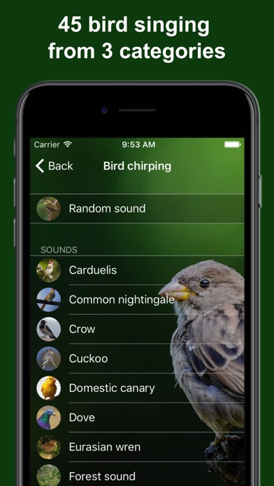 Bird Alarm Clock & Sleep Sound screenshot 2