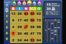 Game screenshot Bingo Fun Blast HD Lucky cards hack