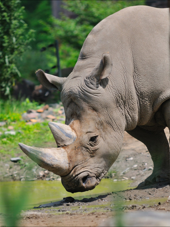 Screenshot #2 for Sound Touch 2