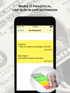 Credit Rating and Credit Check iPad image 2