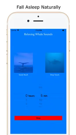 Game screenshot Calm Relaxing Whale Sounds HD apk