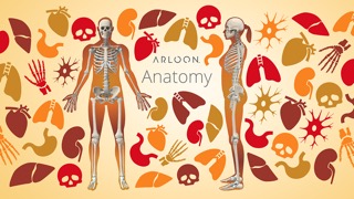 Arloon Anatomyのおすすめ画像1