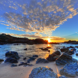 J. Ceh: Marketing Catalyst