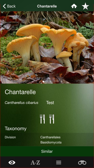 Mushroom Guide British Isles screenshot 4
