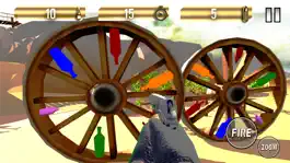 Game screenshot Expert Bottle Shooting 3D apk