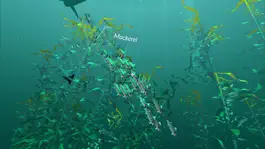 Game screenshot PI VR Oceans hack