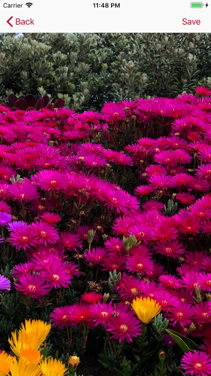 Encode&Decode-Engineer Tool screenshot-9