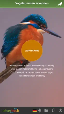Game screenshot Vogelstimmen live erkennen apk
