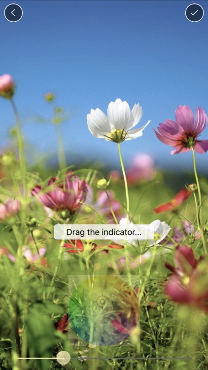 Photo Color Blending screenshot-3