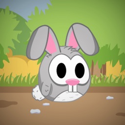 pakkey's adventure - for coin